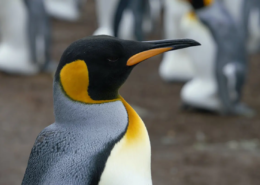 Corso Linux System Engineer