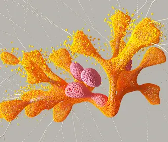 Principi etici dell'intelligenza artificiale