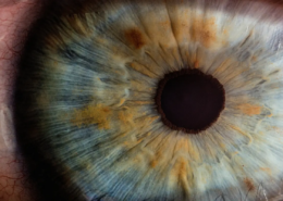 Corso - computer vision: dalle fondamenta alle applicazioni avanzate